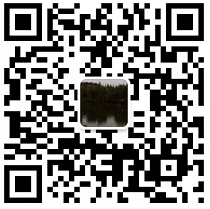 人力资源服务平台